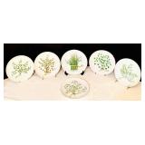 Vintage "Herb" Collector Plates Taste Setter Collection