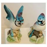 Beautiful Vintage Bird Collection