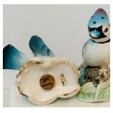Beautiful Vintage Bird Collection