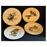 Set of Six Alfred Meakin Plates, Reproduction form the Elephant Folio Edition of Audubon