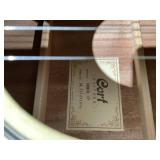 Cort Standard Sersies AD810 Guitar