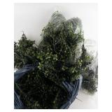 2 Large Bags of 8" Boxwood Pick x10 - Mixed Green