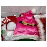 Christmas Hats-Many Varities