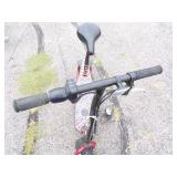 Zip Electric Scooter with Charger