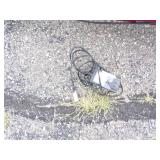 Zip Electric Scooter with Charger