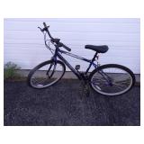 Next Elevation 15 Speed Bike