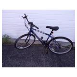 Next Elevation 15 Speed Bike