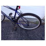 Next Elevation 15 Speed Bike