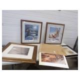 Wildlife Framed Prints