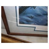 Wildlife Framed Prints