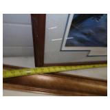 Wildlife Framed Prints