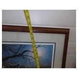 Wildlife Framed Prints