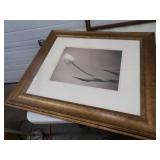 Wildlife Framed Prints