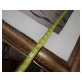 Wildlife Framed Prints