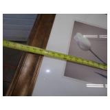 Wildlife Framed Prints