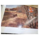 Wildlife Framed Prints