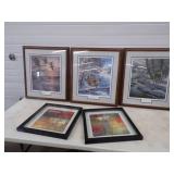 Wildlife Framed Prints