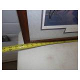 Wildlife Framed Prints