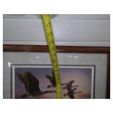 Wildlife Framed Prints