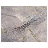 3 Tomato Cages and 2 Pitchforks