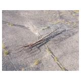 3 Tomato Cages and 2 Pitchforks