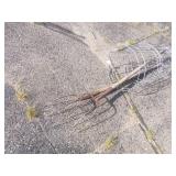 3 Tomato Cages and 2 Pitchforks