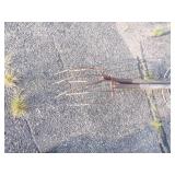 3 Tomato Cages and 2 Pitchforks