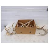 Antlers and Bones with knife making supples