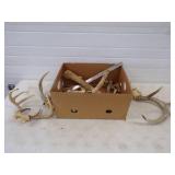 Antlers and Bones with knife making supples