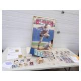 Huge MN Twins Baseball Card Lot with Framed Print