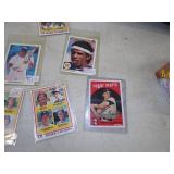 Huge MN Twins Baseball Card Lot with Framed Print