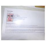 Huge MN Twins Baseball Card Lot with Framed Print