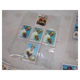 Huge National  league West Baseball Card Lot