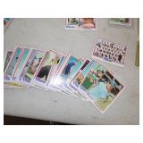 Huge National  league Centeral Baseball Card Lot