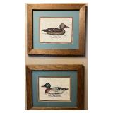 Mallard Drake and Hen Framed Art