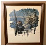 Red Head (Nyroca Americana) Water Color Print R. Dorman 79/1000 Artist Signed