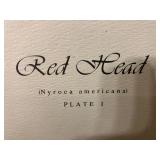 Red Head (Nyroca Americana) Water Color Print R. Dorman 79/1000 Artist Signed