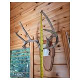 Four Point White Tail Rack
