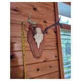 Three Point White Tail Rack