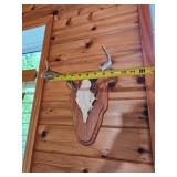 Three Point White Tail Rack