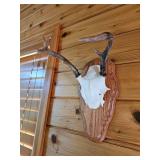 Two Point White Table Rack