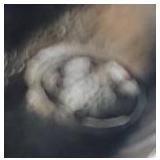 Adorable Fenton Fine Crystal Teddy Bear Figurine Pair