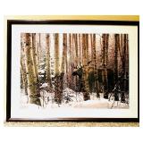 "Walk In The Woods" Framed Print by Stephen Lyman