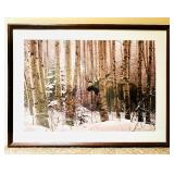 "Walk In The Woods" Framed Print by Stephen Lyman