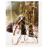 "Walk In The Woods" Framed Print by Stephen Lyman