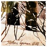 "Walk In The Woods" Framed Print by Stephen Lyman