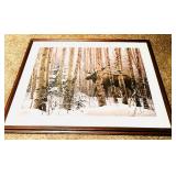 "Walk In The Woods" Framed Print by Stephen Lyman