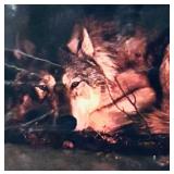 Serene Framed Print, Brandenburg, "Peace in the Forest" Beautiful Wolf