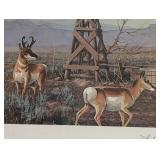 Antelope in Ranch Country Framed Print by Les Kouba