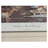 Antelope in Ranch Country Framed Print by Les Kouba